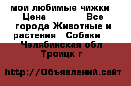 мои любимые чижки › Цена ­ 15 000 - Все города Животные и растения » Собаки   . Челябинская обл.,Троицк г.